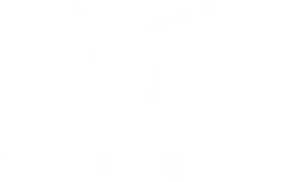 Logo des Partners Cupra