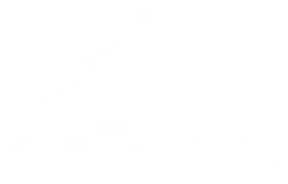 Logo des Partners Adidas
